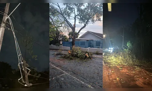 Vendaval durante a madrugada deixa estragos em Apucarana; veja fotos