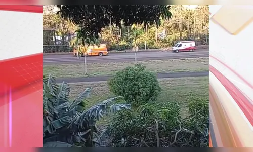 Trote mobiliza equipes com falso acidente na BR-376