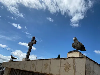Velórios acontecem em Apucarana, Novo Itacolomi e Jandaia do Sul