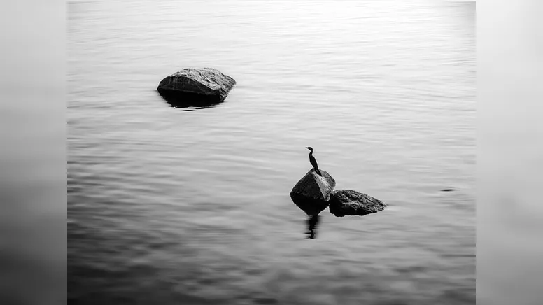 Por orgulho ou medo — fingir que não nos movemos