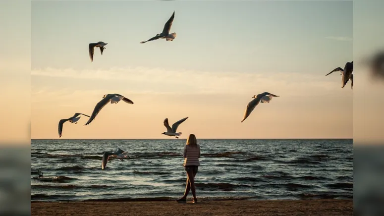 Que venha o amanhã!