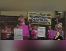 Vereadores debatem criação do Dia da Cegonha Reborn; saiba mais