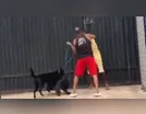 VIOLÊNCIA