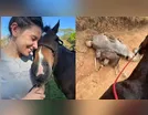 Ana Castela denuncia homem após ele cortar patas de cavalo