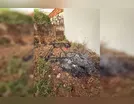 Mulher apanha, desmaia em colchão e é queimada ainda viva por agressor