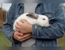 Zoológico da Dinamarca pede pets como alimento e gera revolta