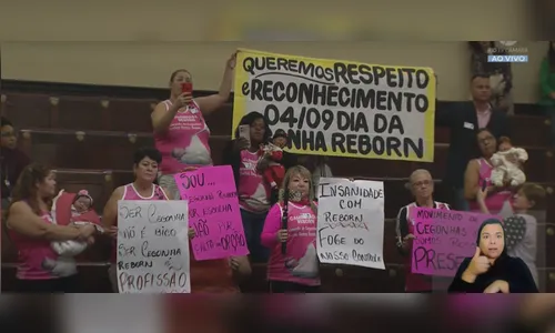Vereadores debatem criação do Dia da Cegonha Reborn; saiba mais