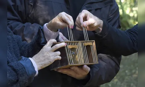 IAT amplia áreas para soltura de animais resgatados no Paraná