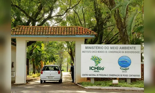 ICMBio abre PSS para agente temporário ambiental; veja como participar