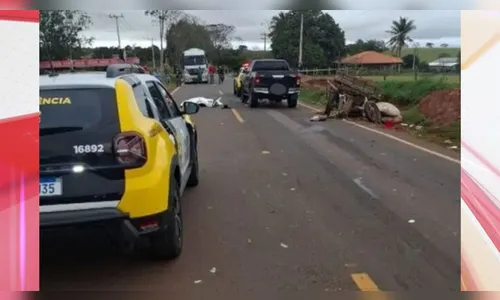 Homem e cavalo morrem após batida entre caminhonete e charrete no PR