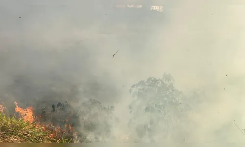 Fumaça de incêndio no Parque Bela Vista atrapalha trânsito do local