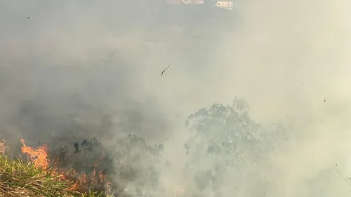 Além de prejudicar o meio ambiente, as queimadas causam problemas como sujeira gerada na cidade pela fuligem
