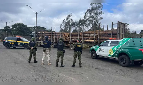 Polícia apreende carga de araucária com documentação irregular no PR