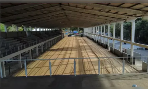 Bebê pisoteado por boi em rodeio no Paraná recebe alta após 13 dias