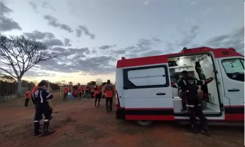 Retiro de Legendários é interrompido por ataque de abelhas em Goiás