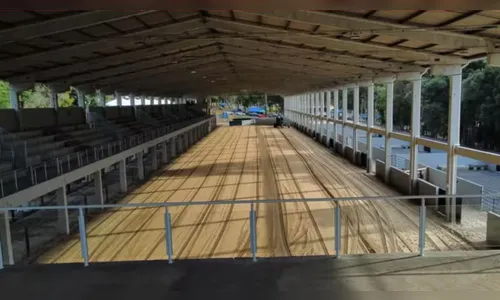 Boi escapa e pisoteia bebê de três meses durante rodeio no Paraná