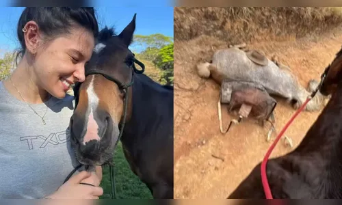 Ana Castela denuncia homem após ele cortar patas de cavalo