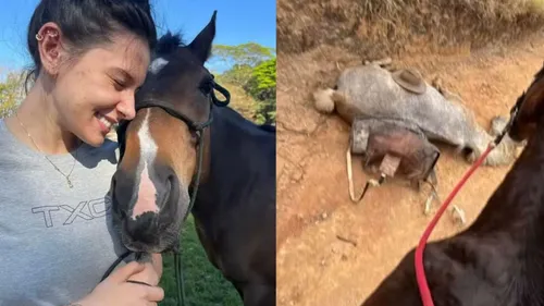 Cantora denunciou caso de maus-tratos após receber vídeo chocante