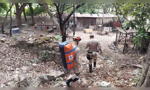 Homem tenta defender cachorro de ataque de onça e acaba ferido