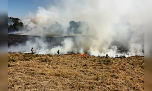 Mais de 30% dos incêndios no PR ocorrem em lixos em terrenos baldios