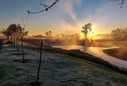 Frente fria derruba temperaturas e traz geadas ao PR no fim de semana