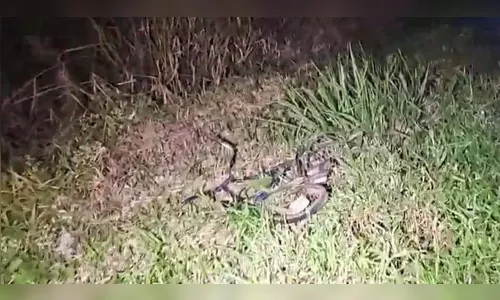 Ciclista morre atropelado na BR-487 e corpo fica desfigurado