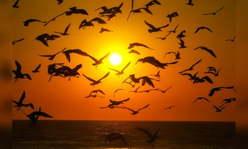 Temperaturas devem subir durante o fim de semana no Norte do Paraná