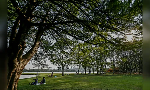 Setembro começa na segunda com mais calor e chuvas mais intensas no PR