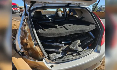 PRF apreende 370 kg de maconha e motorista é detido em Rolândia