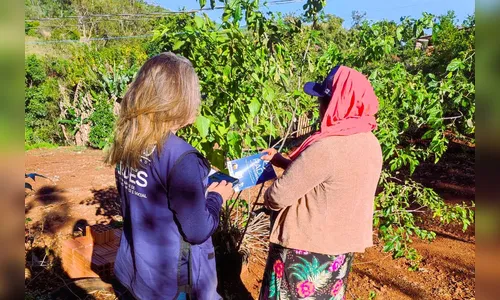 Ipardes conclui pesquisa de campo do perfil socioeconômico do Paraná