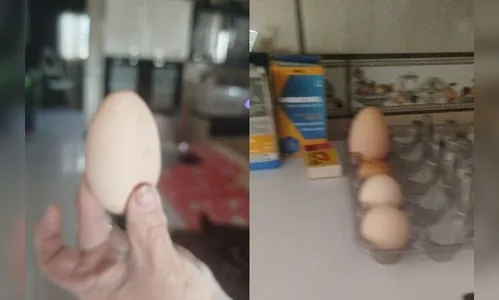 Mulher encontra ovo gigante no quintal de casa no PR