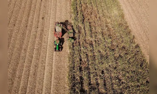 Paraná lidera crescimento da atividade econômica entre os estados