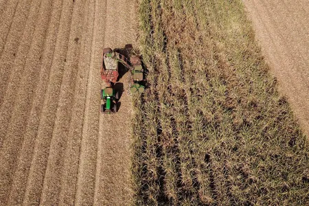 O agronegócio, que é um dos pilares da economia do Estado