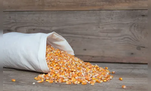 Golpe com carga de milho gera prejuízo de mais de R$ 100 mil na região