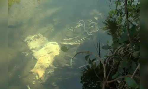 Esqueleto é encontrado no lago Igapó em Londrina