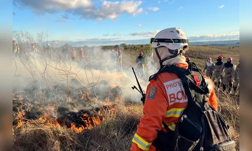 CBMPR fortalece capacitação contra incêndios com queimadas controladas