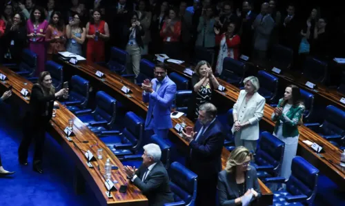 O projeto final aprovado é o substitutivo relatado na Câmara