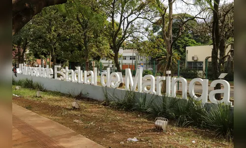 UEM abre inscrições para seleção de professores de Música e Agronomia