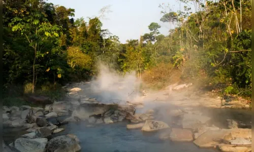 Rio na Amazônia atinge quase 100 °C e cozinha animais vivos
