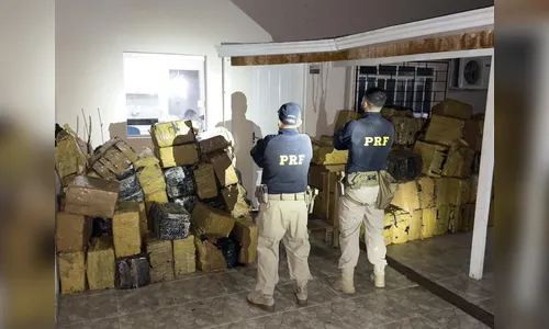 PRF apreende 4 toneladas de maconha escondidas em carga de ração no PR