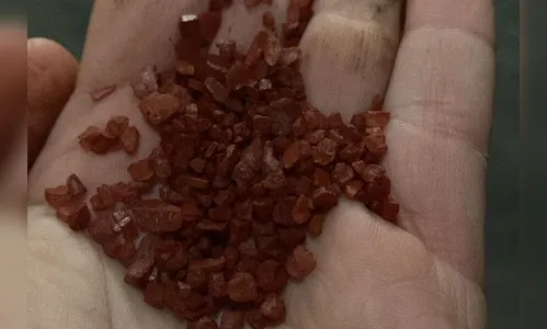 Forças policiais prendem 6 e apreendem carga de fertilizantes desviada