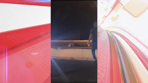 Pedestre é atropelado na PR-444 em Arapongas; veja vídeo