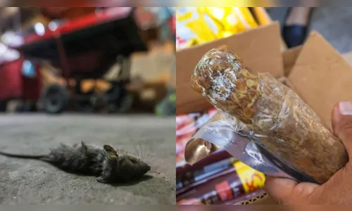 Ação contra venda informal encontra ratos, baratas e comida vencida