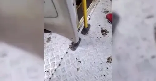Um passageiro, aparentemente sem conseguir esperar até o destino, acabou defecando no chão de um ônibus.