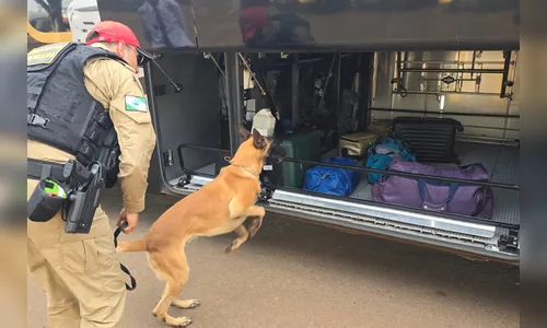 Sinergia III: 26 pessoas são presas no 1º dia de ação no Norte do PR