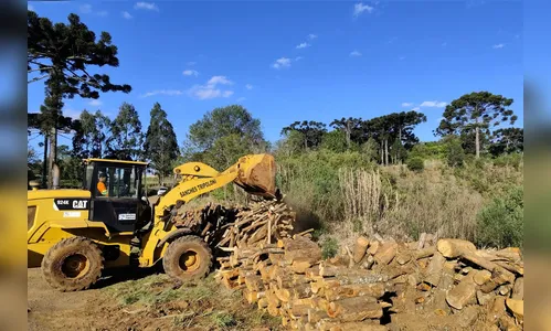DER-PR alerta que pegar madeiras de rodovias em obras configura crime de furto