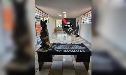 Ação da PM com cão farejador resulta na prisão de homem por tráfico
