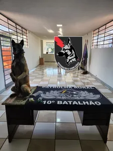 Ação da PM com cão farejador resulta na prisão de homem por tráfico