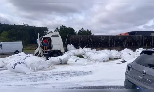 Caminhão sai de pista, espalha carga pela pista e deixa trânsito lento