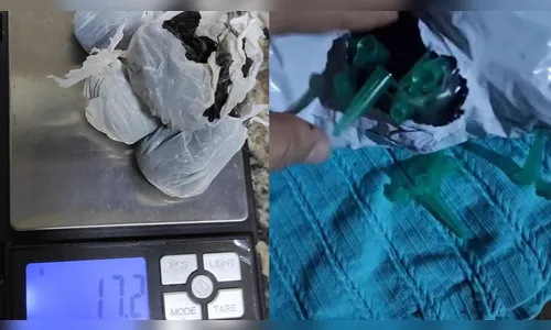 Adolescente de 13 anos é apreendido com drogas em Apucarana